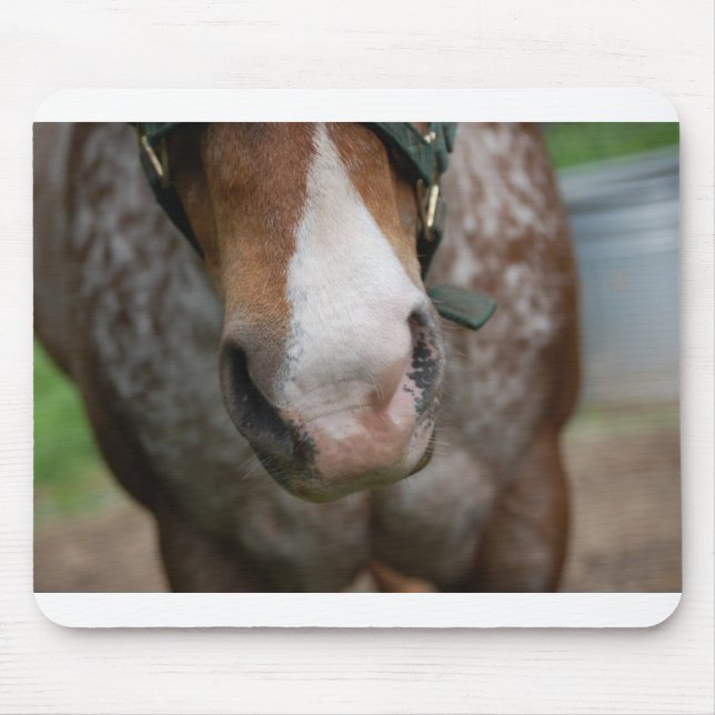 Tapis De Souris Allo ! (Devant)