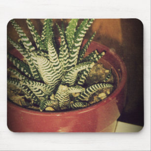 Tapis De Souris aloe