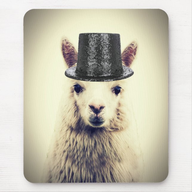 Tapis De Souris Alpaca dans un Tophat (Devant)