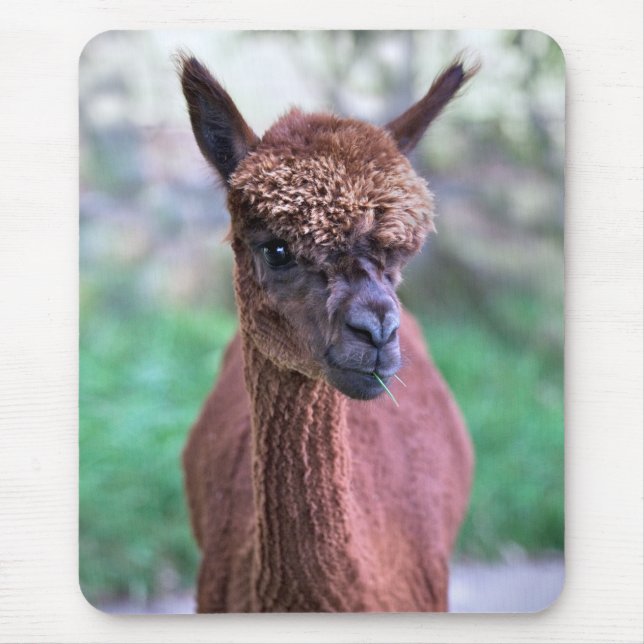 Tapis de souris Alpacca marron (Devant)