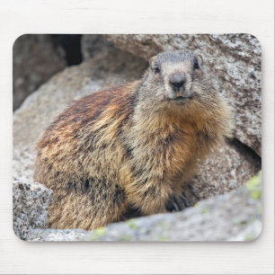 Tapis de souris alpin de Marmot
