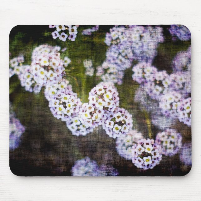Tapis De Souris Alyssum doux en Grunge (Devant)