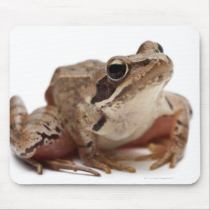 Tapis De Souris Amarrez la grenouille - arvalis de Rana
