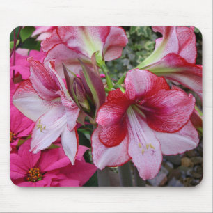 Tapis De Souris Amaryllis et fleurs de vacances rouges de Poinsett