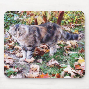 Tapis De Souris Amateurs de Chats Photo de Chat d'Automne