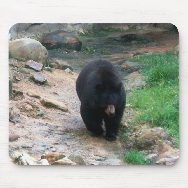 Tapis De Souris American Black Bear (Devant)