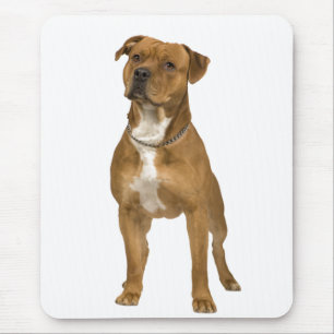 Tapis de souris American Staffordshire Terrier ( A