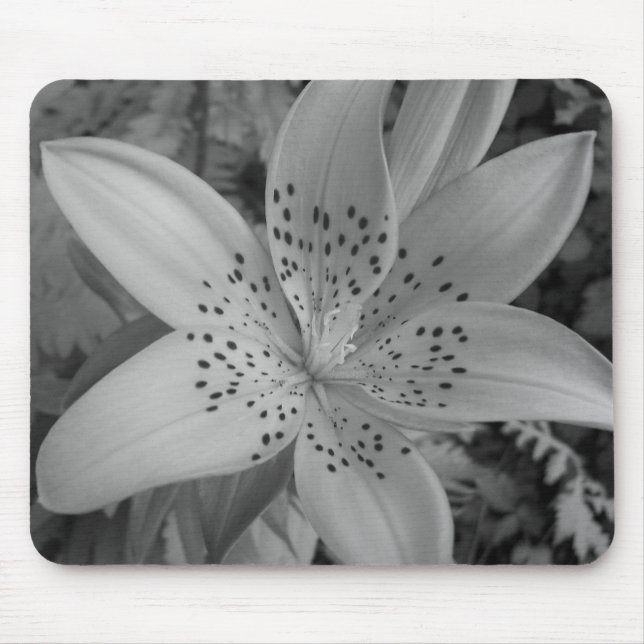 Tapis De Souris American Tiger Lily (Devant)