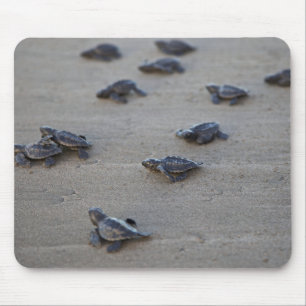 Tapis De Souris Amérique centrale, Salvador, Océan Pacifique