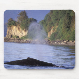 Tapis De Souris Amérique du Nord, États-Unis, Alaska, Passage Inté
