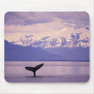 Tapis De Souris Amérique du Nord, États-Unis, Alaska, Passage Inté