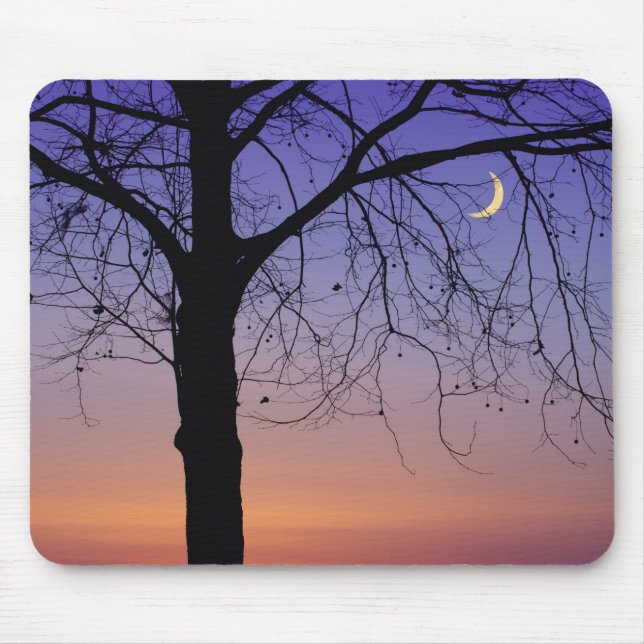 Tapis De Souris Amérique du Nord, États-Unis, Floride, Mt Dora, (Devant)