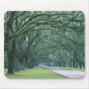 Tapis De Souris Amérique du Nord, États-Unis, Géorgie, Savannah