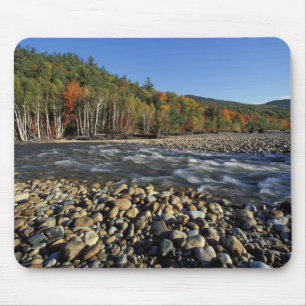 Tapis De Souris Amérique du Nord, États-Unis, NH, Une plage de gal