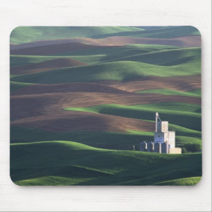 Tapis De Souris Amérique du Nord, États-Unis, Washington, Palouse.