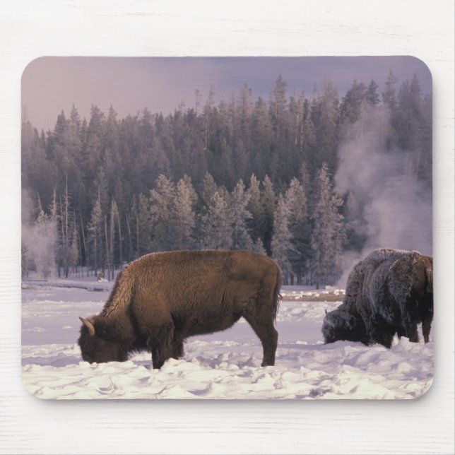 Tapis De Souris Amérique du Nord, États-Unis, Wyoming, Yellowstone (Devant)