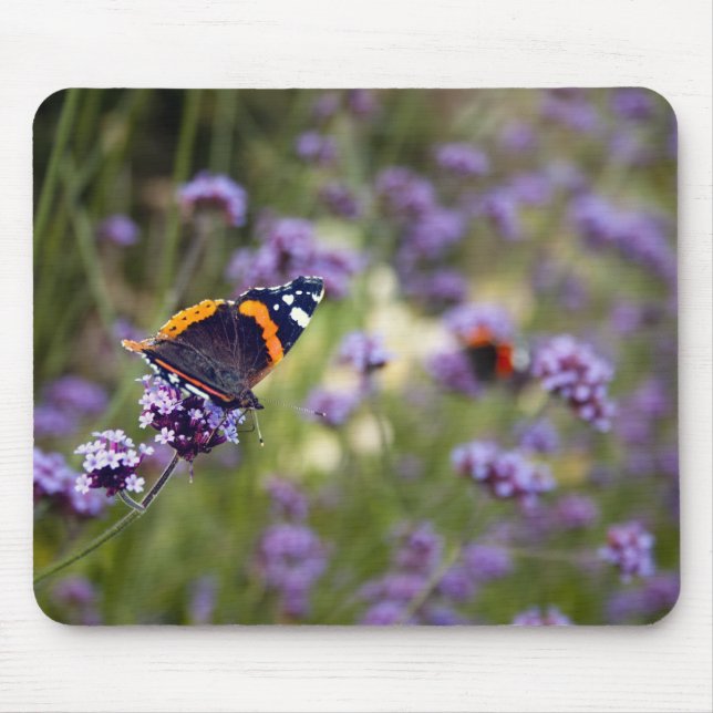 Tapis De Souris Amiral rouge papillon (Devant)