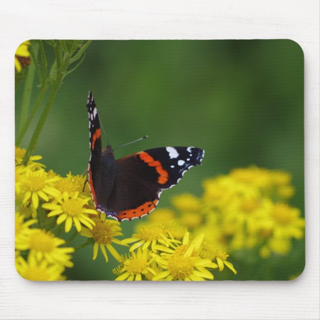Tapis De Souris Amiral rouge papillon Mousepad (Devant)