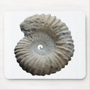 Tapis De Souris ammonite