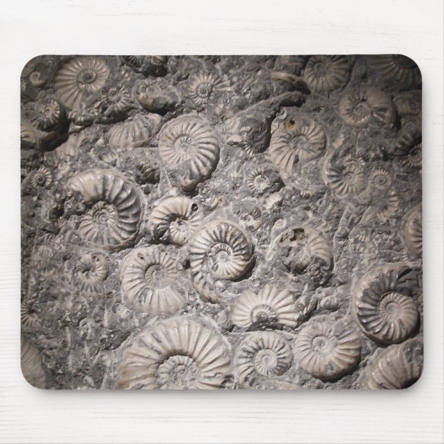 Tapis De Souris Ammonites (Devant)