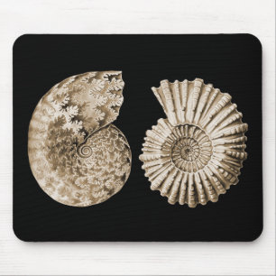 Tapis De Souris Ammonites