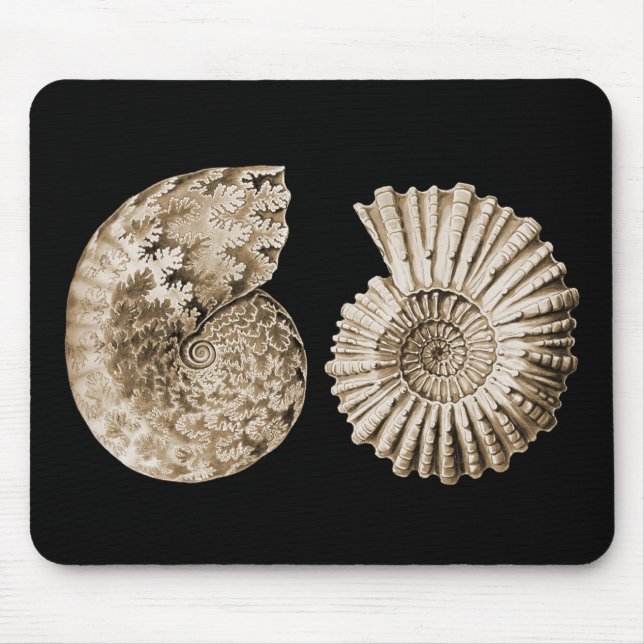 Tapis De Souris Ammonites (Devant)