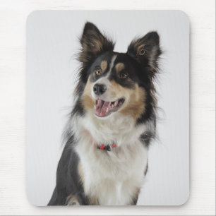 Tapis De Souris Amour Bordure Collie Chien Chien Chien Mousepad
