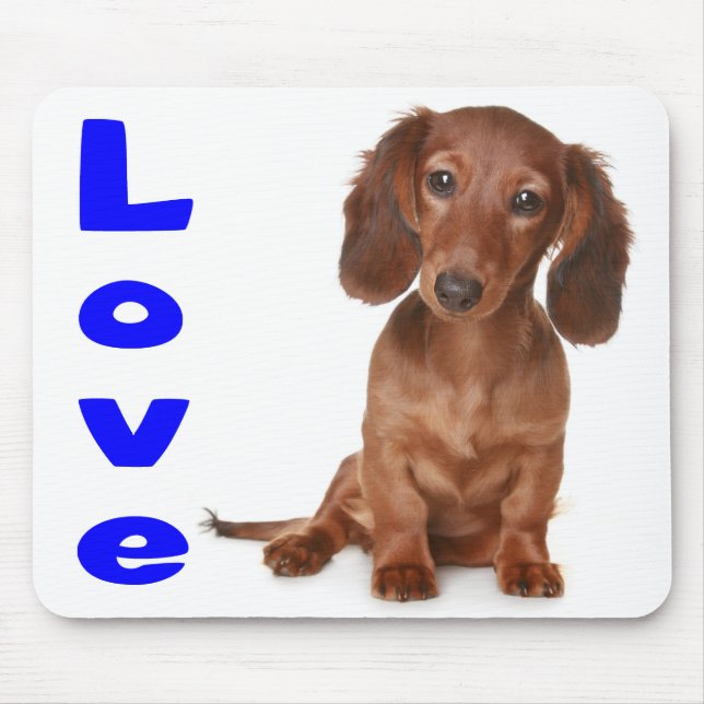 Tapis De Souris Amour Dachshund Chien Chien Coquelicot Ordinateur  (Devant)