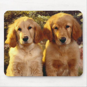 Tapis De Souris Amour de chiot Golden Retriever
