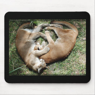 Tapis De Souris Amour de pumas