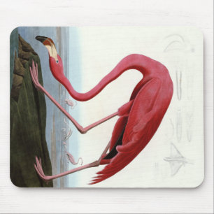 Tapis De Souris Amoureux-cadeau Flamant rose rose américain  Flama