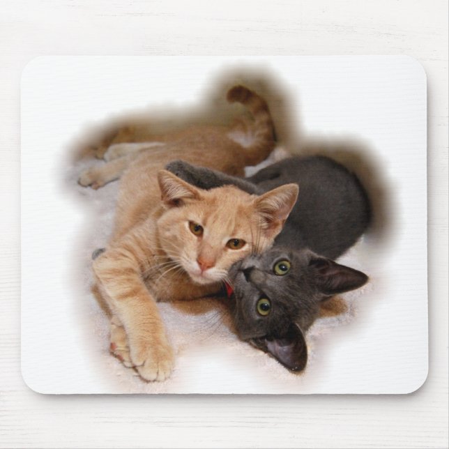 Tapis De Souris Amoureux de les chats Mousepad (Devant)