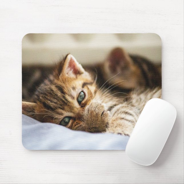 Tapis De Souris Amoureux des chats (Avec souris)