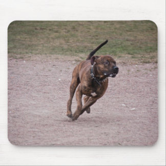 Tapis De Souris Amstaff en cours
