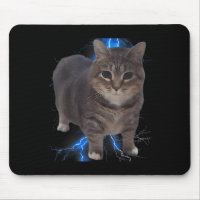 Amusant Oiia Oiia rotation de chat mème chat Brain
