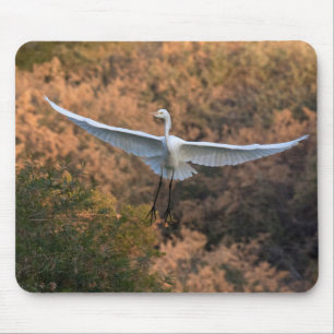 Tapis De Souris An Egret flies