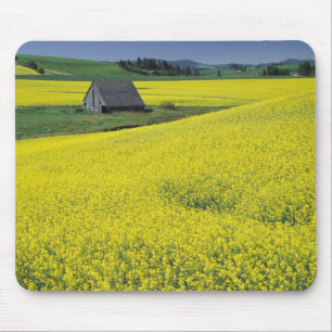 Tapis De Souris AN, États-Unis, Idaho, près de Potlatch, Grange en