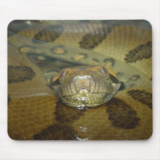 Tapis De Souris Anaconda vert (Devant)