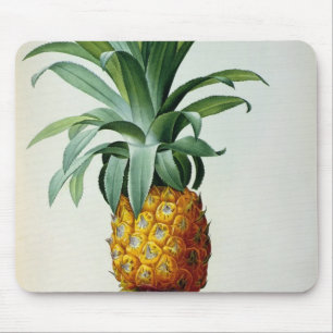 Tapis De Souris Ananas de Bromelia, de 'Les Bromeliacees