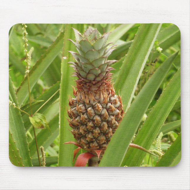 Tapis De Souris Ananas sauvage Fruit tropical dans la nature (Devant)