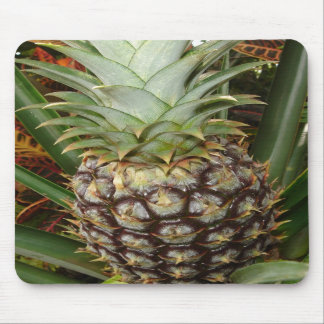 Tapis De Souris Ananas tropical Mousepad de jardin
