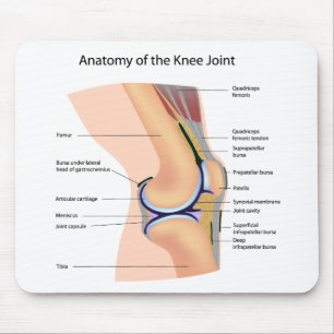 Tapis De Souris Anatomie de mousepad humain d'articulation de