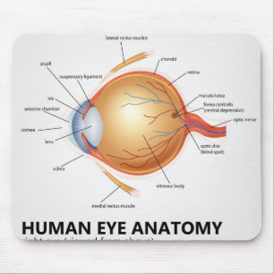 Tapis De Souris Anatomie des yeux humains du regard droit