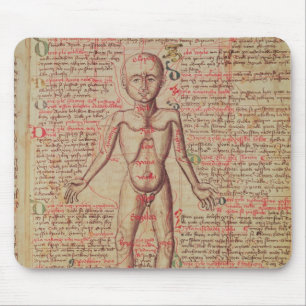 Tapis De Souris Anatomie du corps humain