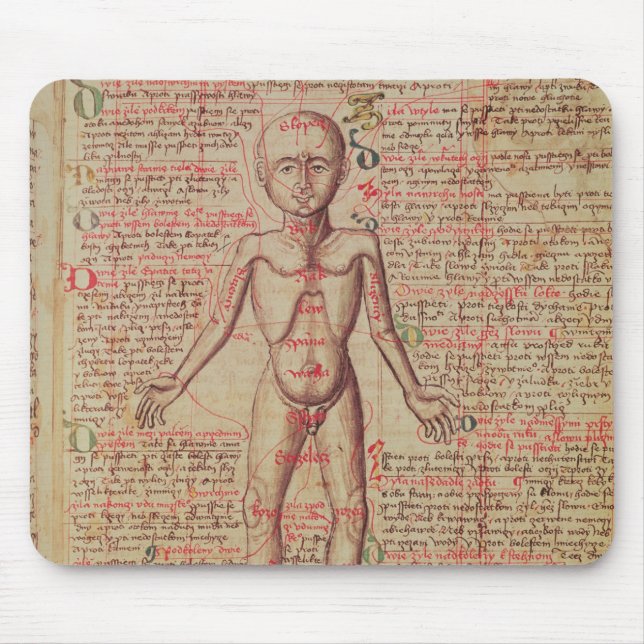 Tapis De Souris Anatomie du corps humain (Devant)
