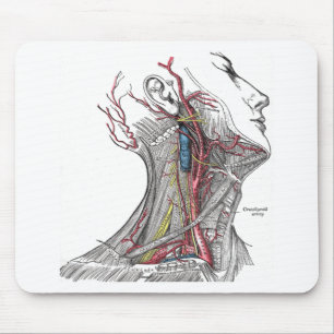 Tapis De Souris Anatomie du cou