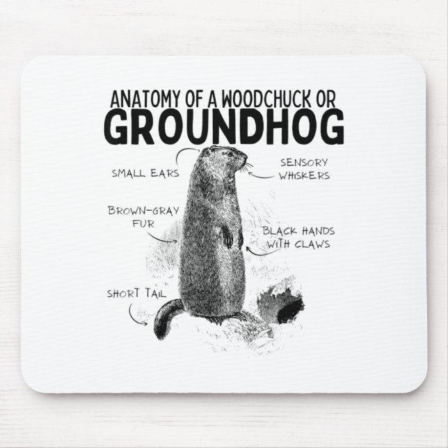 Tapis De Souris Anatomie d'un marmotte ou groundhog drôle d'animal (Devant)