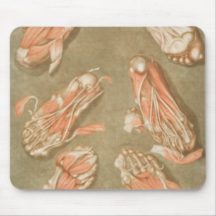 TAPIS DE SOURIS ANATOMIE PIEDS ANATOMIE PIEDS MUSCLE ANATOMIE BONN