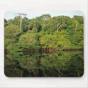 Tapis De Souris Anavilhanas, Amazonas, Brésil. Rainforest