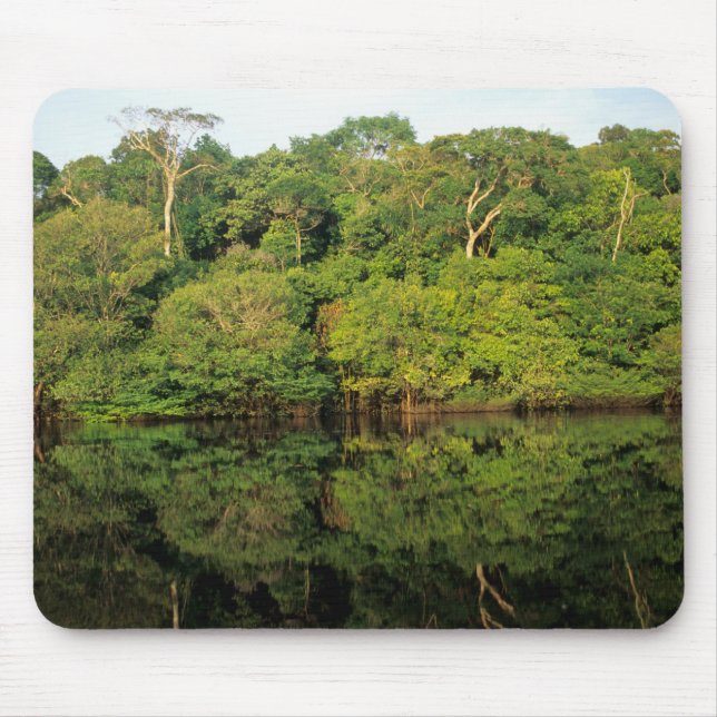 Tapis De Souris Anavilhanas, Amazonas, Brésil. Rivière de la forêt (Devant)